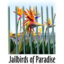 jailbirds design image